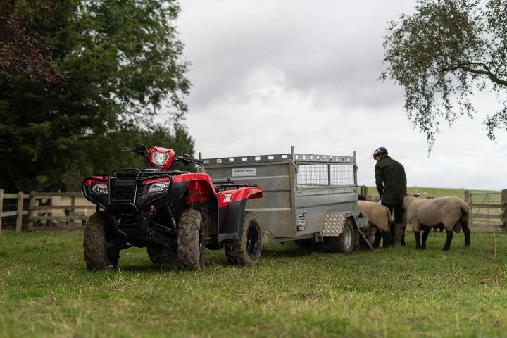 Hamilton Ross Group tweet media