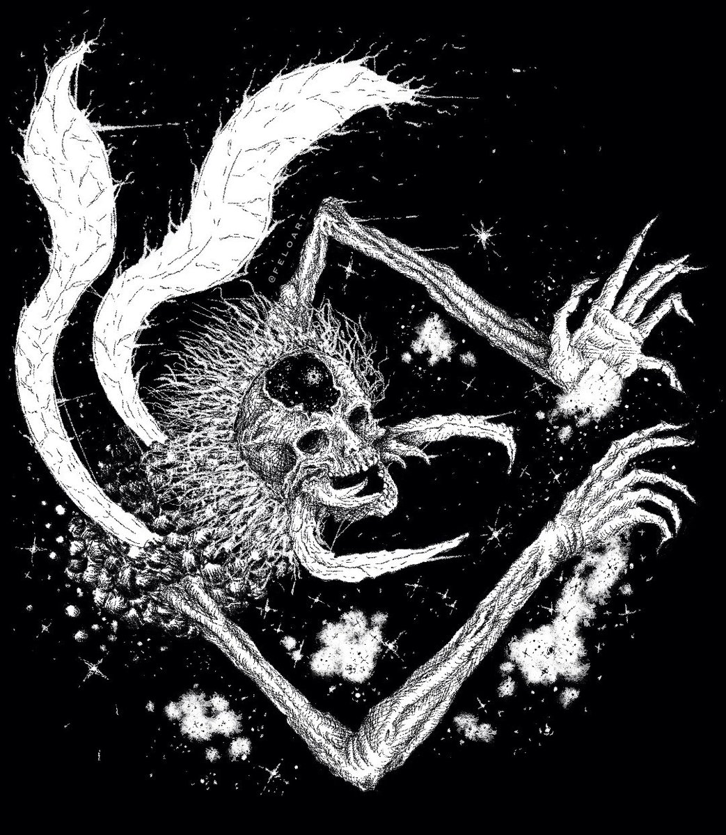 Felipe LL. R. tweet media