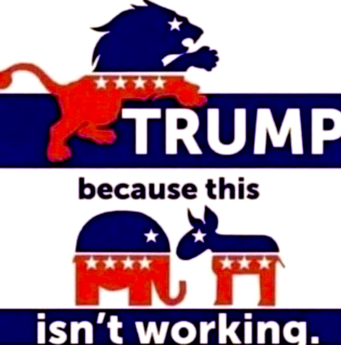 Grumpy ☄️ tweet media