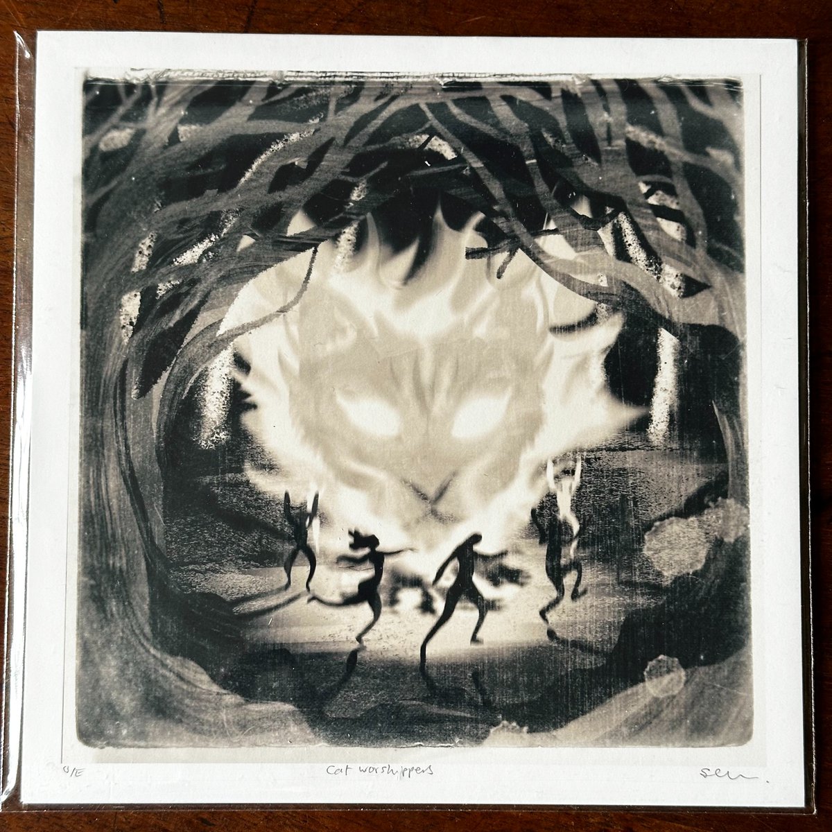 Sarah Coomer tweet media