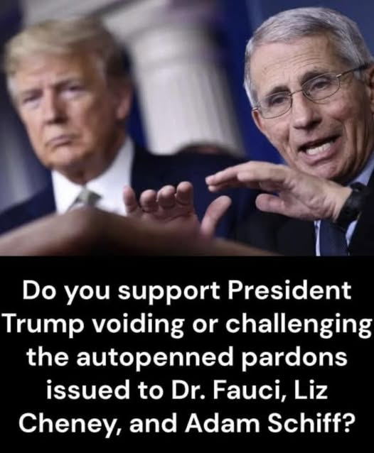 PecanC8's tweet photo. Would you support voiding or challenging the autopen pardons for Fauci, Liz Cheney, and Adam Schiff?
I certainly do!
That these traitors to our country could be pardoned without prosecution is outrageous! https://t.co/zImtfvZrU0