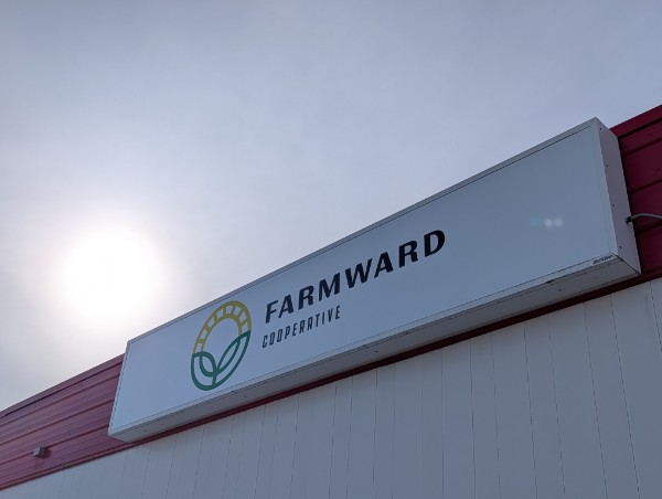apdesignpro's tweet image. Helping bring the  Farmward Cooperative brand to life across Southwest Minnesota.

Buildings, signage, equipment, and more.

Great seeing the new look take shape across the region.

#MarshallMN #SWMN #Signage