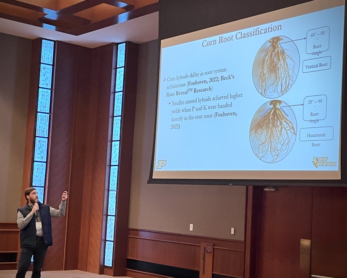 The Kernel Lab tweet media