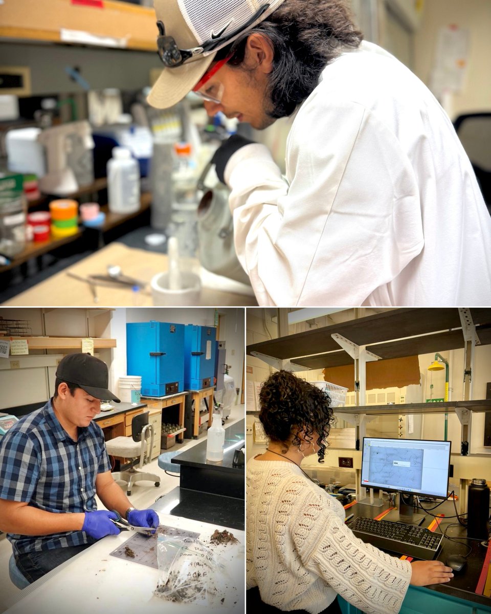 The Kernel Lab tweet media