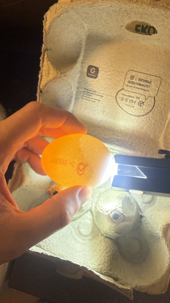 แอนดี้ ราดรี-แม่กลอง tweet media