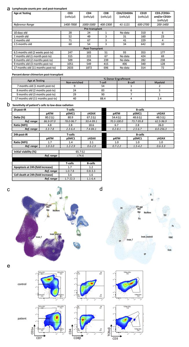 Journal of Human Immunity tweet media