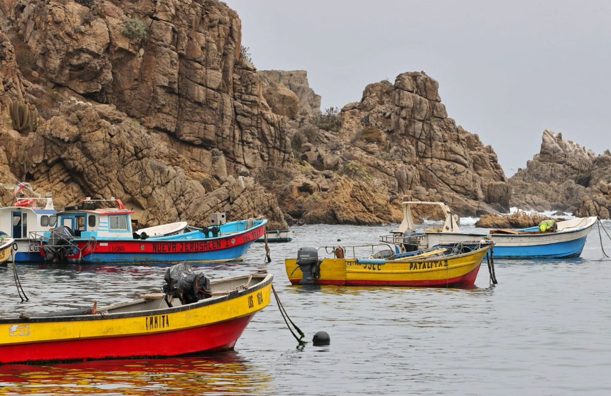 Caleta Sierra marca un hito para la pesca artesanal.
Entregamos el decreto de expropiación que convierte a esta caleta de Ovalle en la primera en ser expropiada bajo la Ley de Caletas.
Un paso clave para fortalecer las comunidades del borde costero.