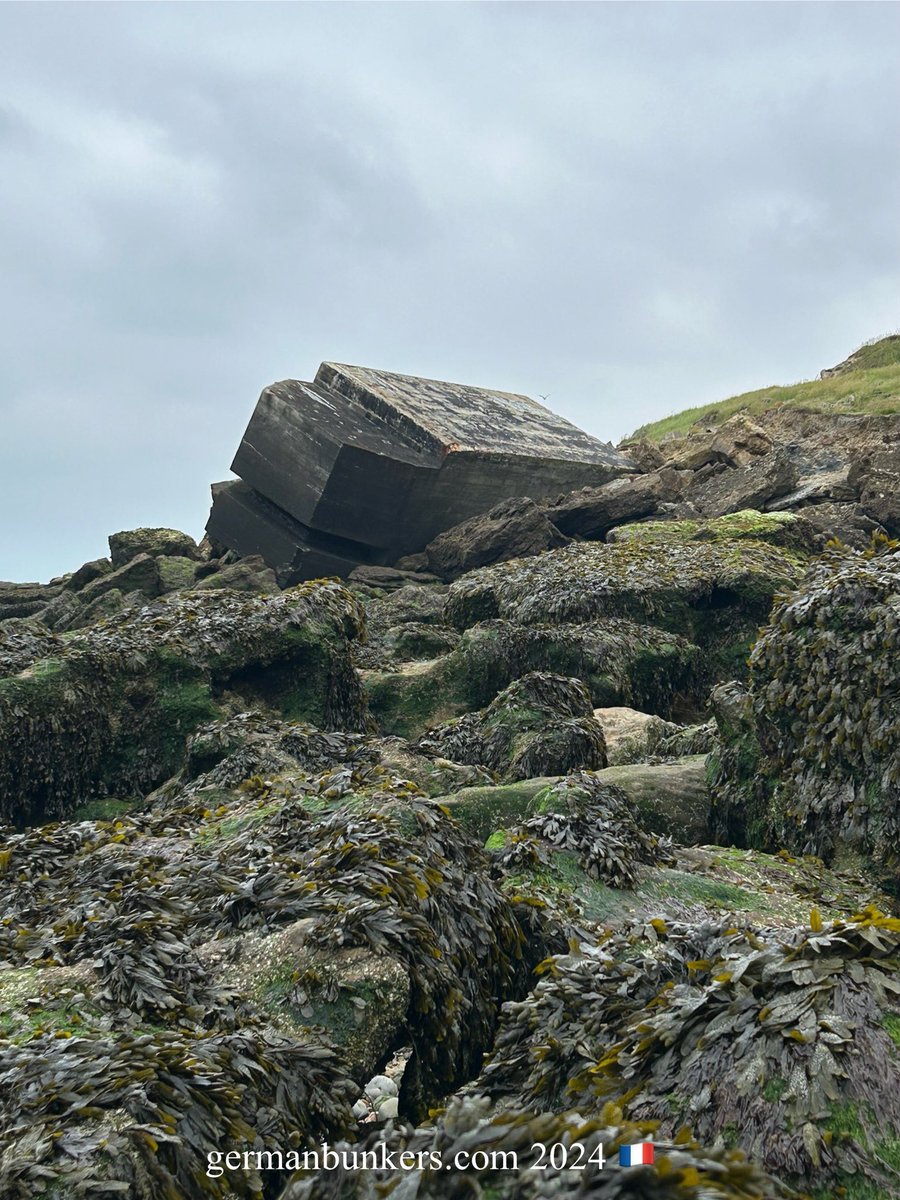 admin@germanbunkers tweet media