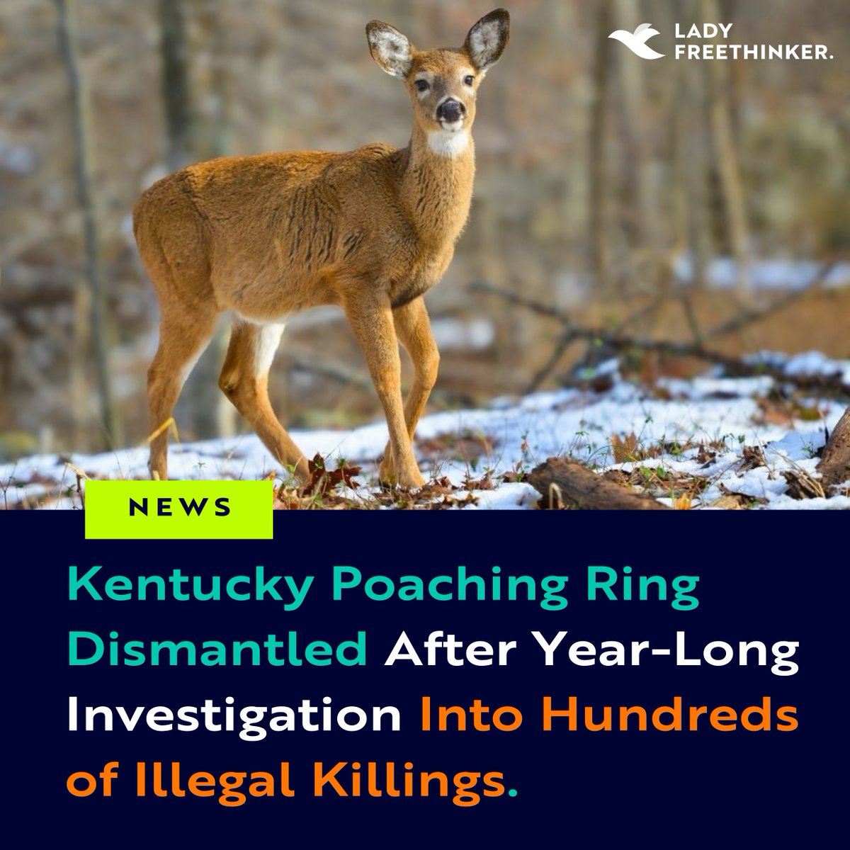 Lady Freethinker tweet media