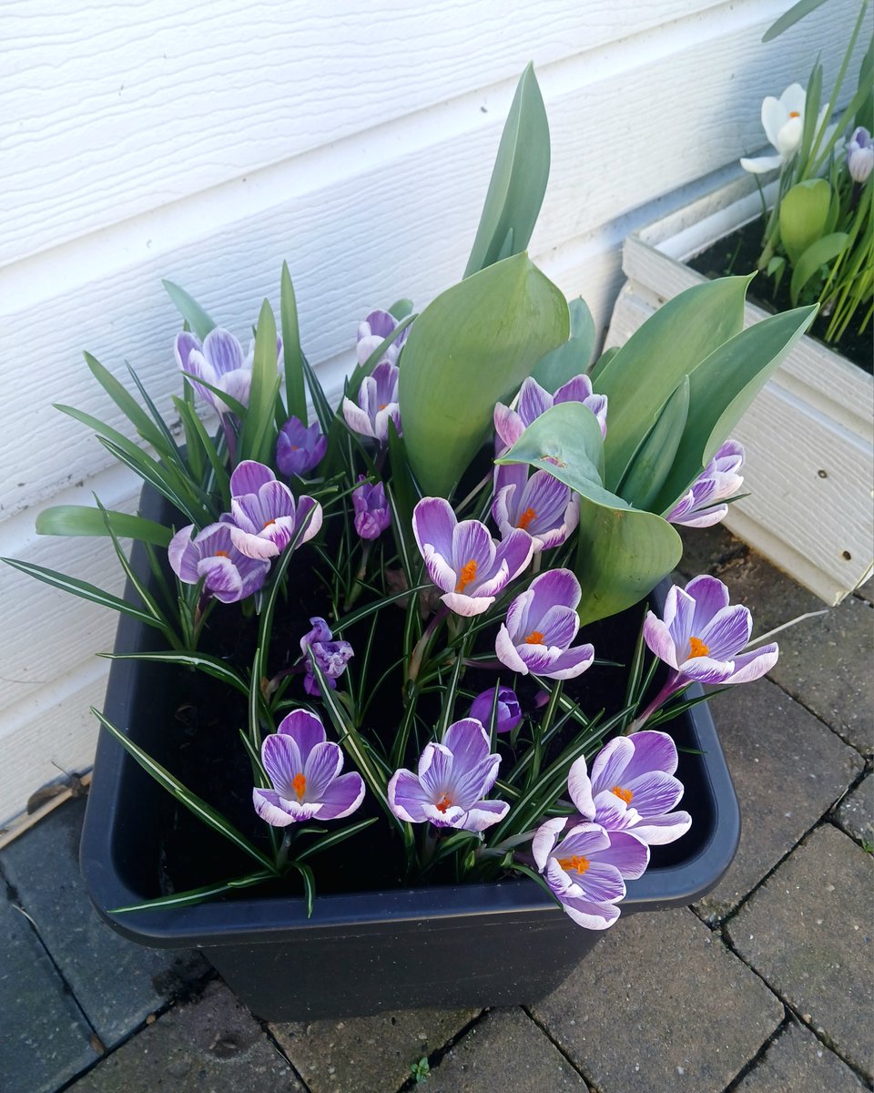 Milnsbridge Village Hall. tweet media