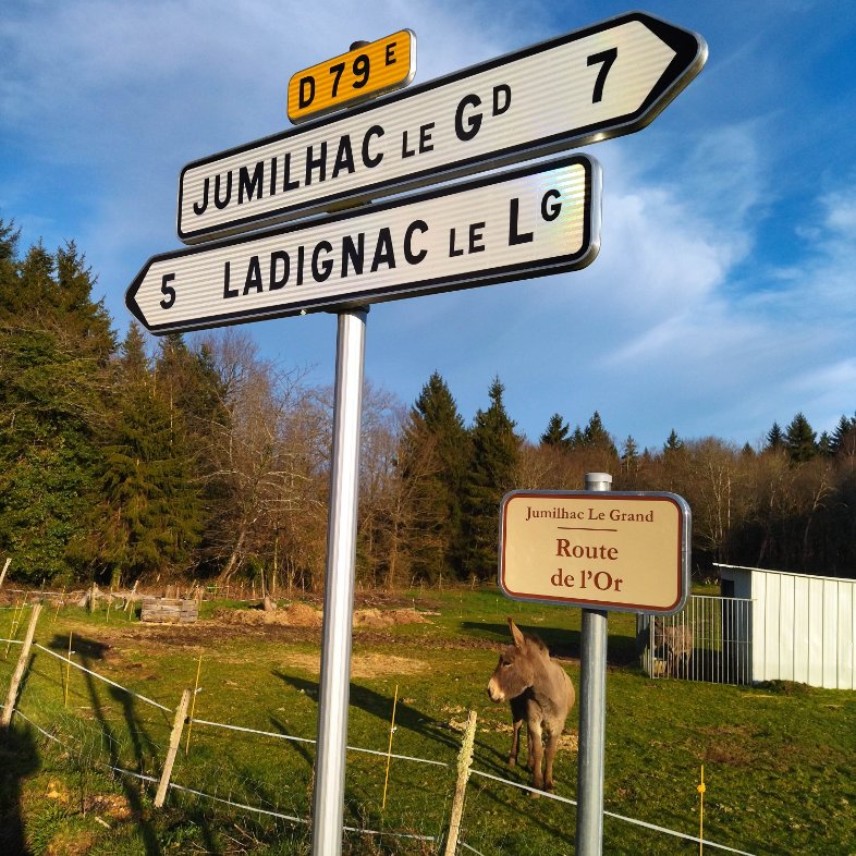 Aredius44's tweet image. Nantes-Jumilhac-Excideuil ! et aussi vers #Penestin où ça gauille actuellement. et je marche sur l'or.