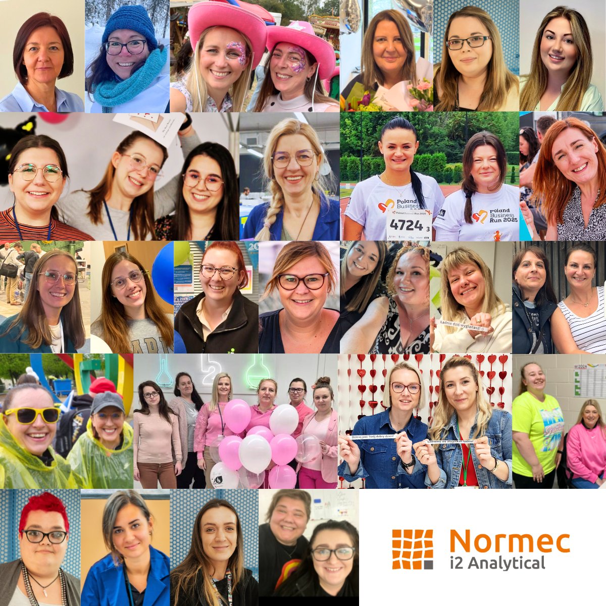 Normec i2 Analytical tweet media