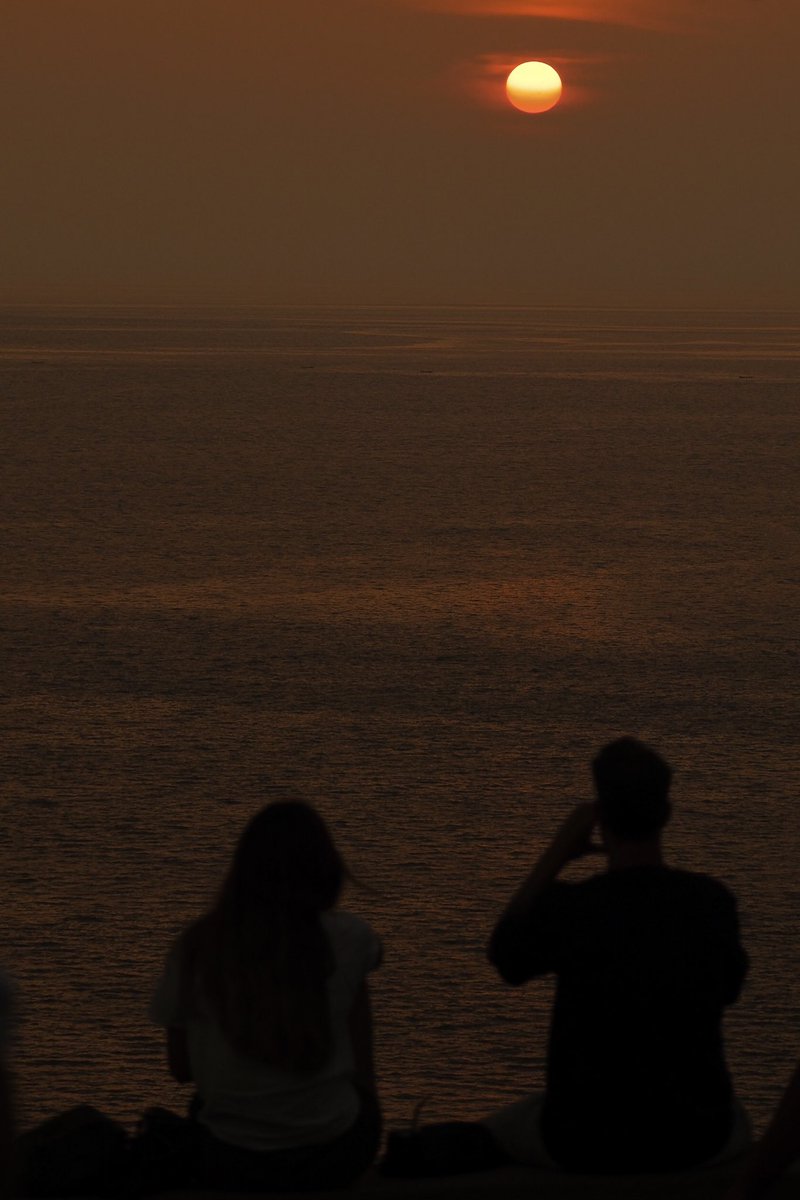 offtography tweet media