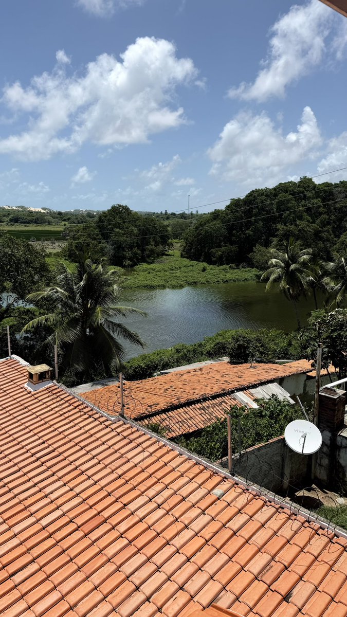 João Ribeiro tweet media