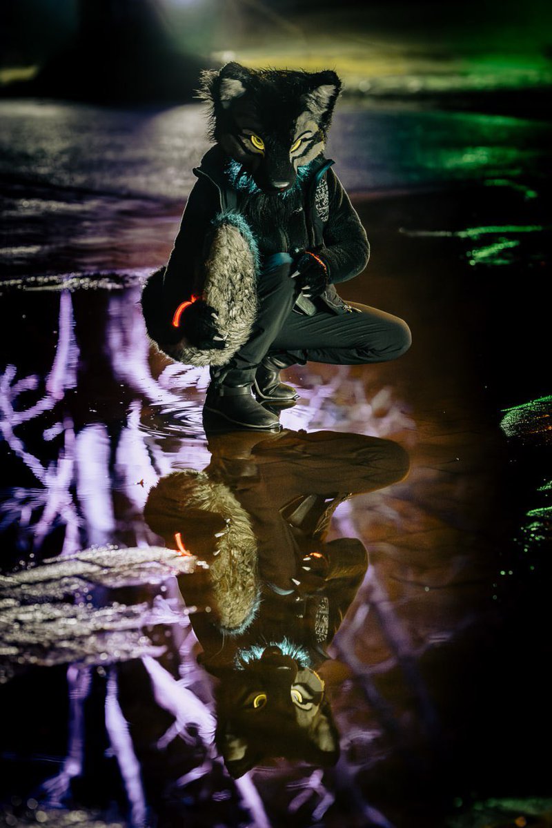 TaniDaReal tweet media