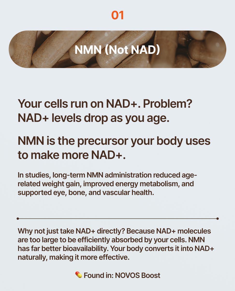 NOVOS Labs tweet media