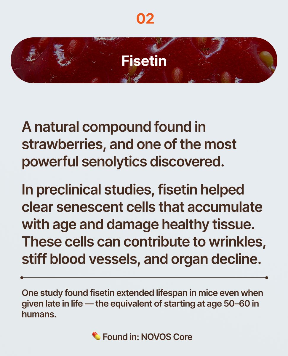 NOVOS Labs tweet media