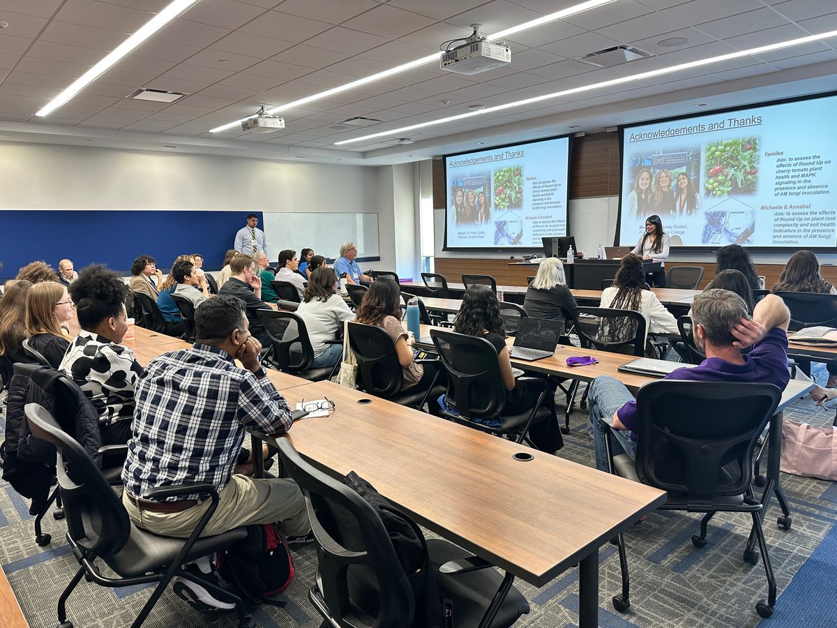 Temple College tweet media