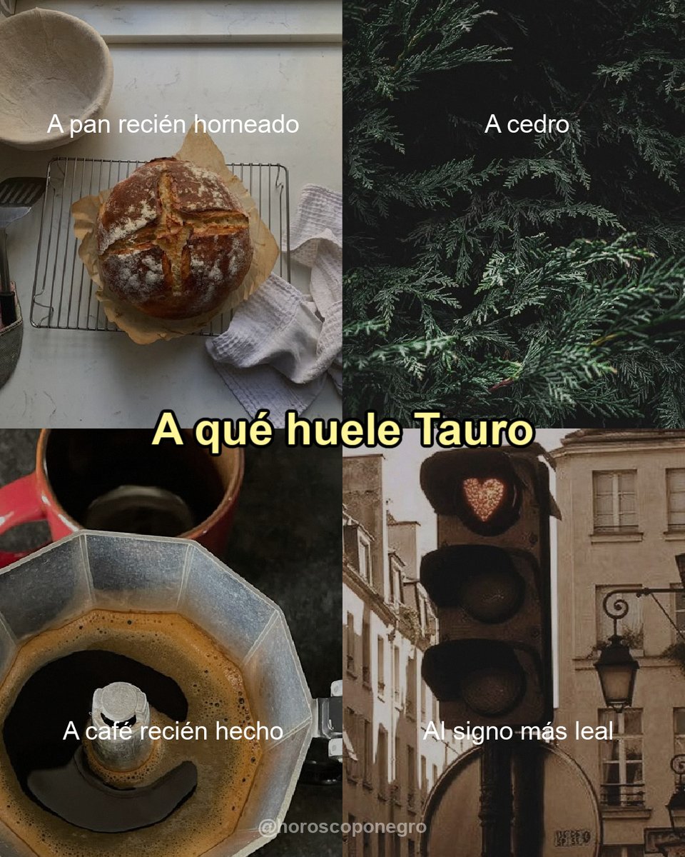 ¿A qué huele Tauro? ✨🔮