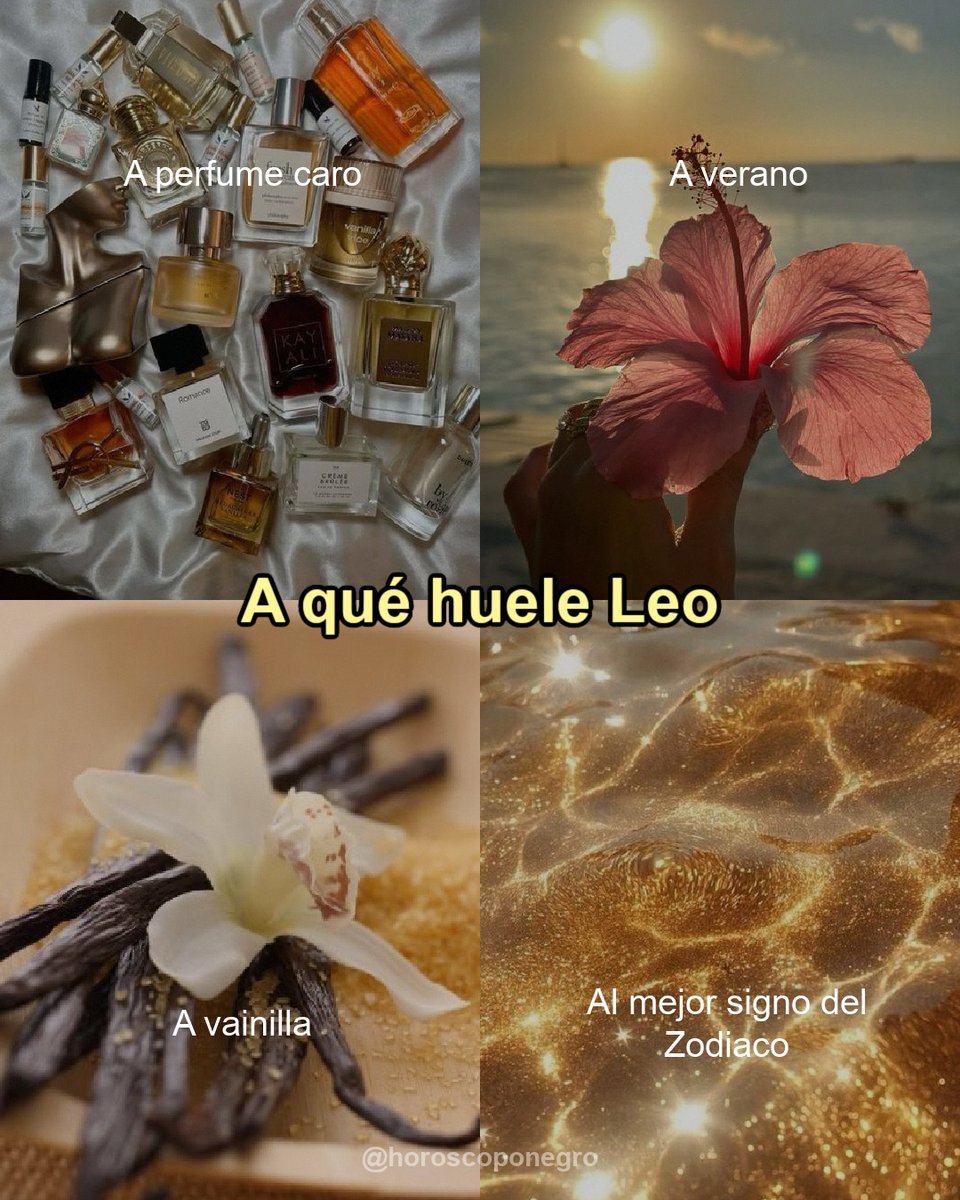 leo_hnegro's tweet photo. ¿A qué huele Leo? ✨🔮 https://t.co/iIqy2exCZT