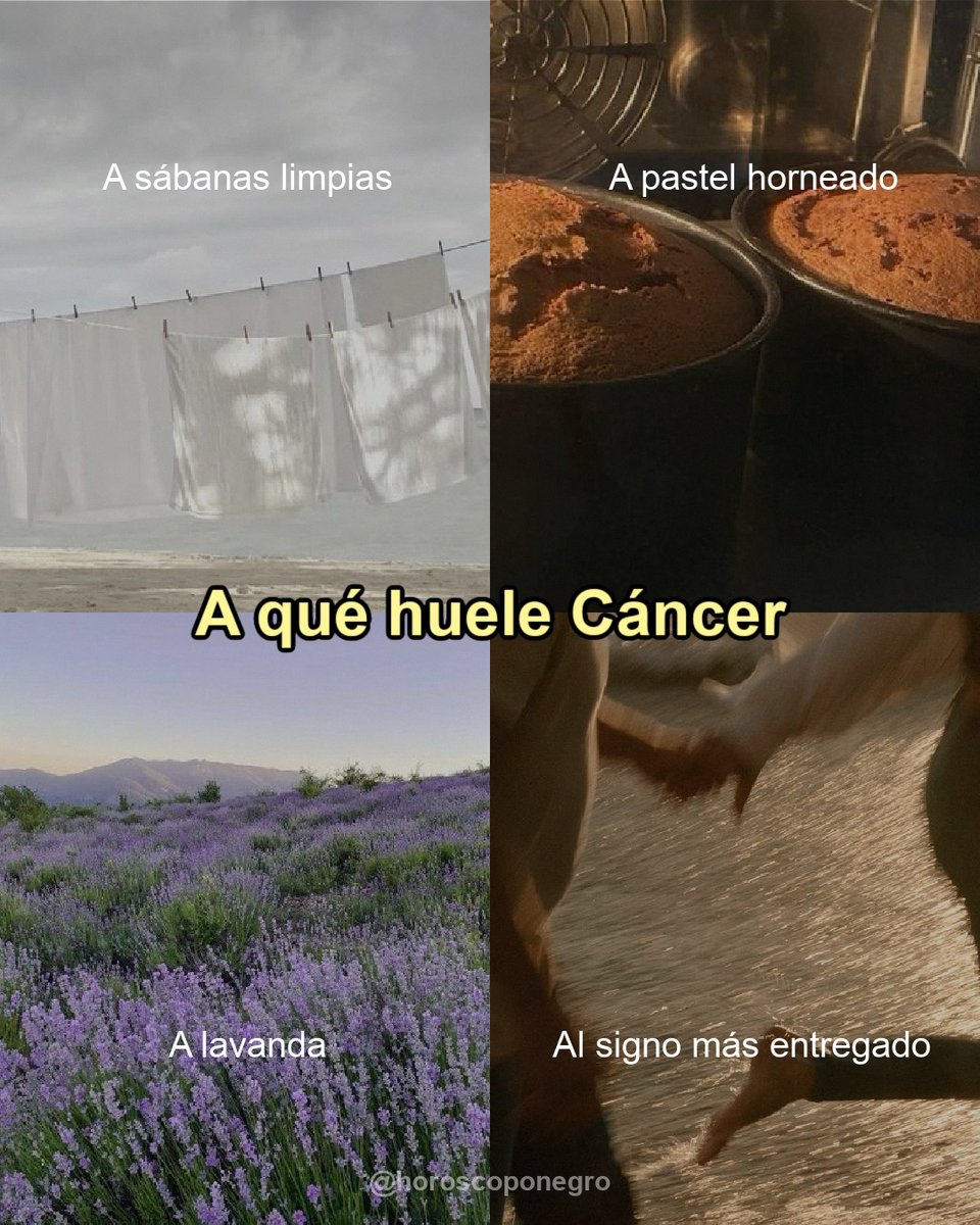 ¿A qué huele Cáncer? ✨🔮