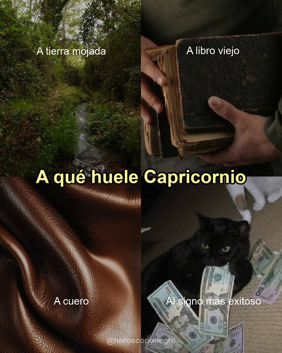 capricornio_hn's tweet photo. ¿A qué huele Capricornio? ✨🔮 https://t.co/CKQVrmwx2t