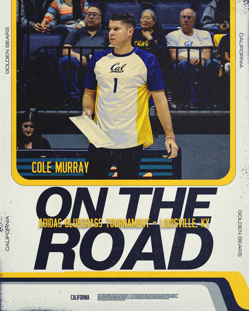 Cal Volleyball tweet media