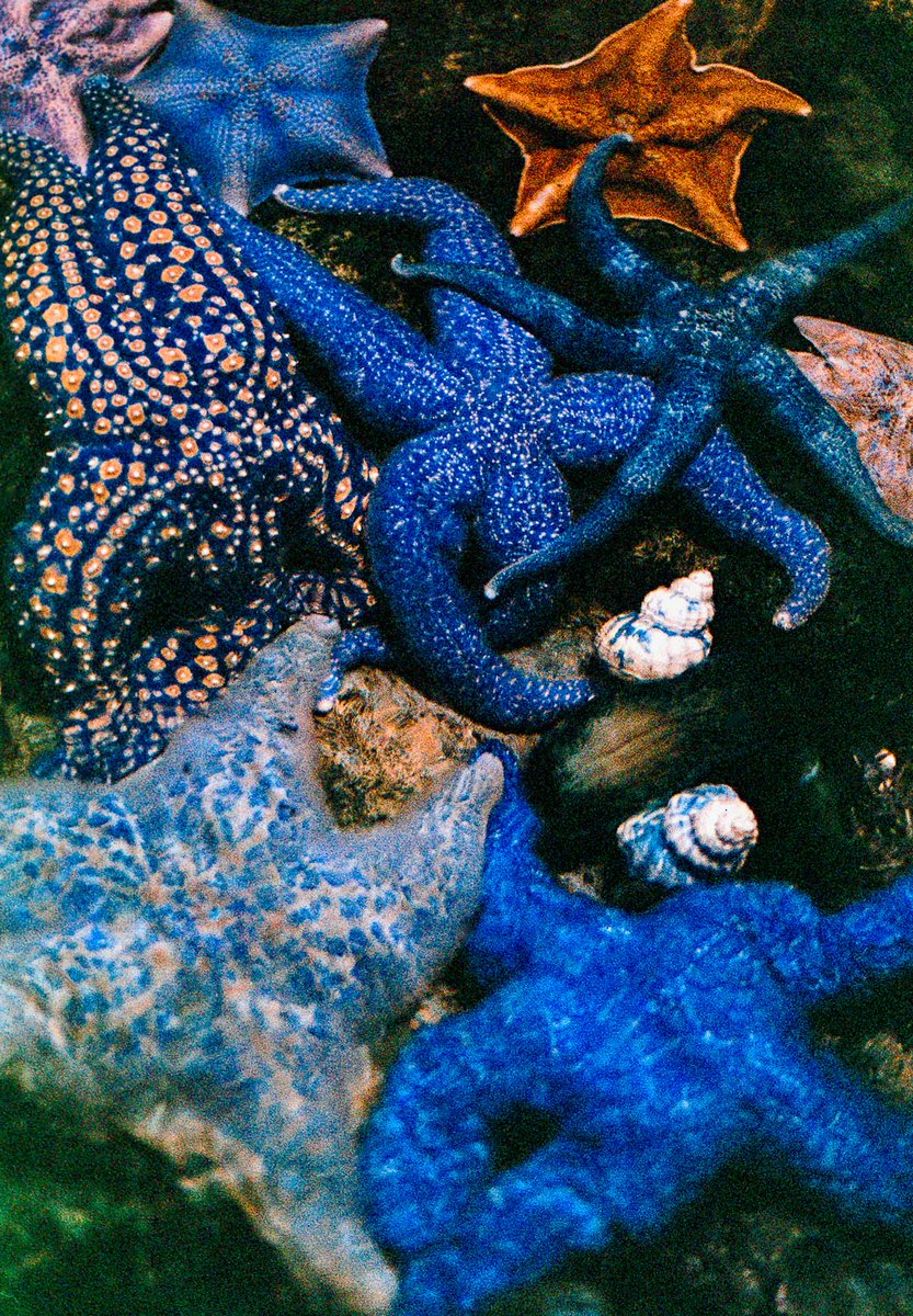 Harman Photo tweet media