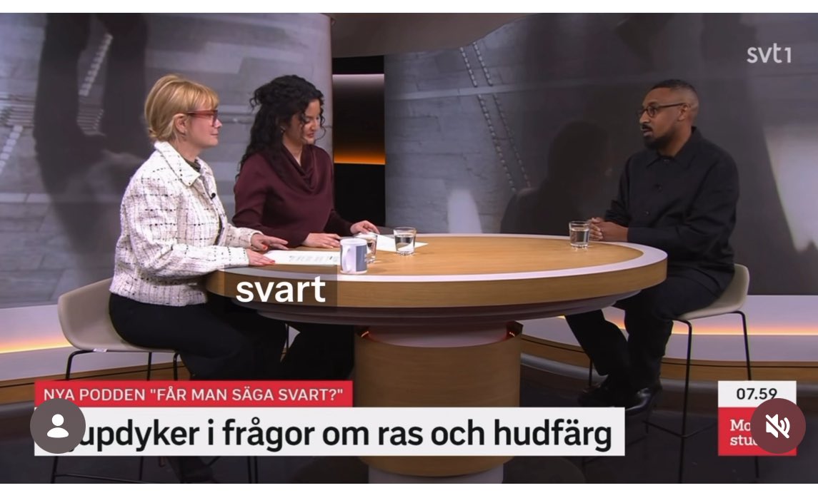 Det som stör mig med dessa rasism aktivister är att de tror att livet suger bara för dem. Svarta har inte monopol på orättvisa, alla upplever orättvisa någon gång i livet. Lösningen är inte att gnälla och agera ordpoliser. Lösningen är att jobba hårt och bygga någonting själv!