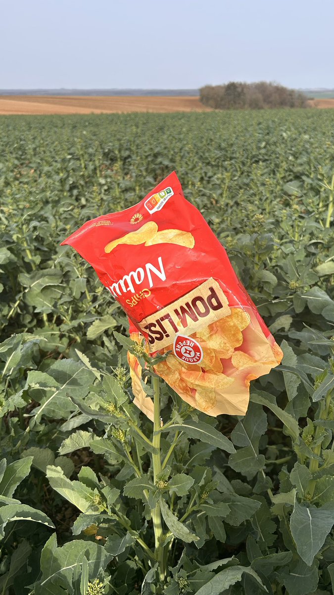 Olivier COSTE tweet media