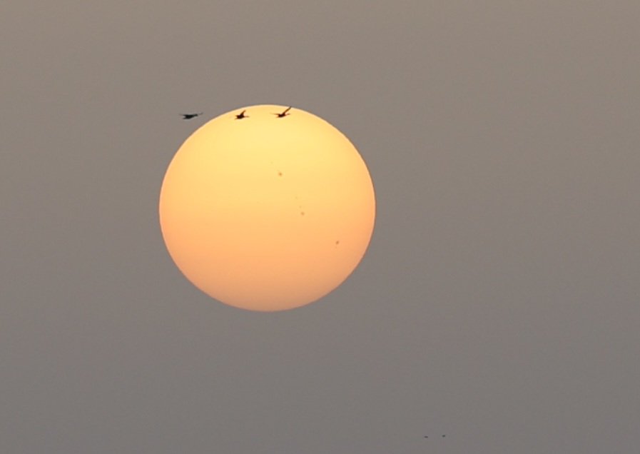 Burt Sytsma tweet media