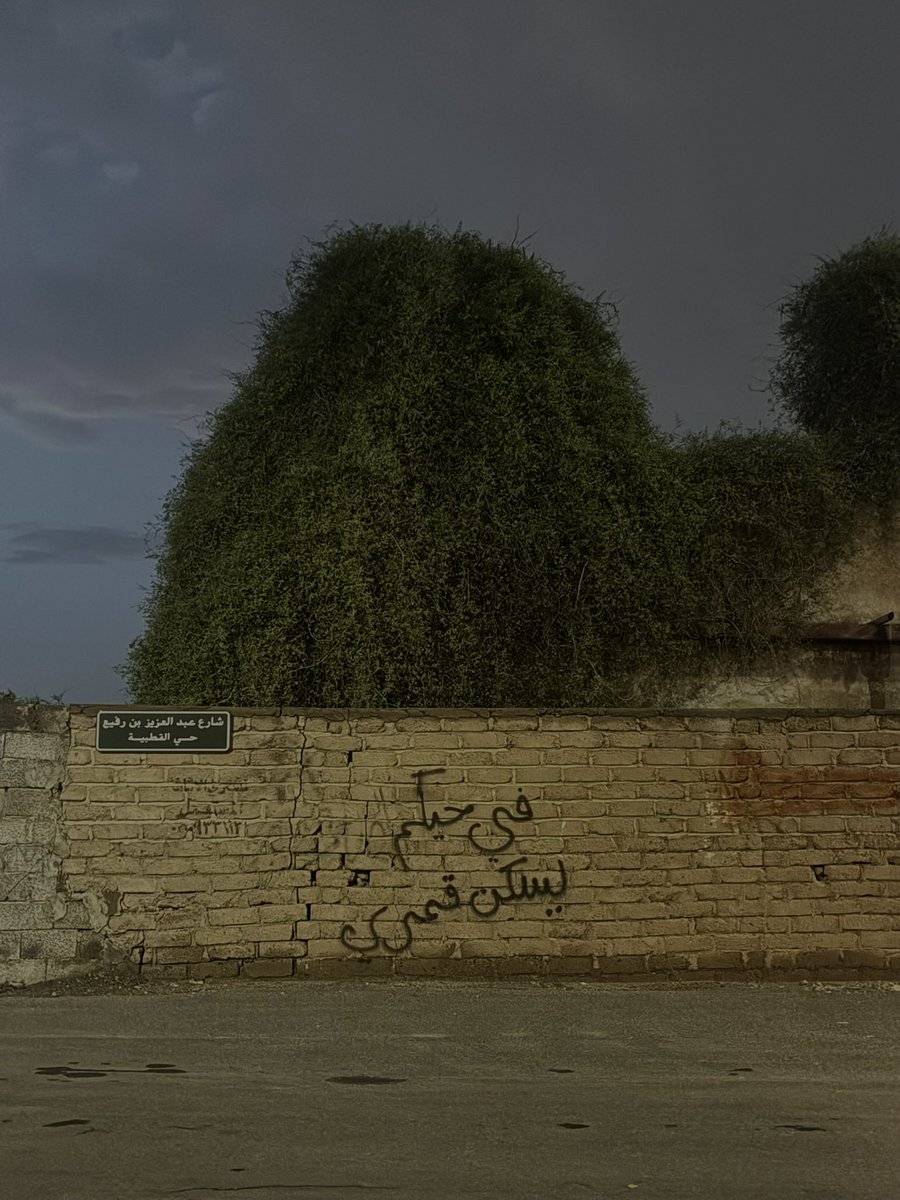 🕊️ وألّا 🌛 ؟