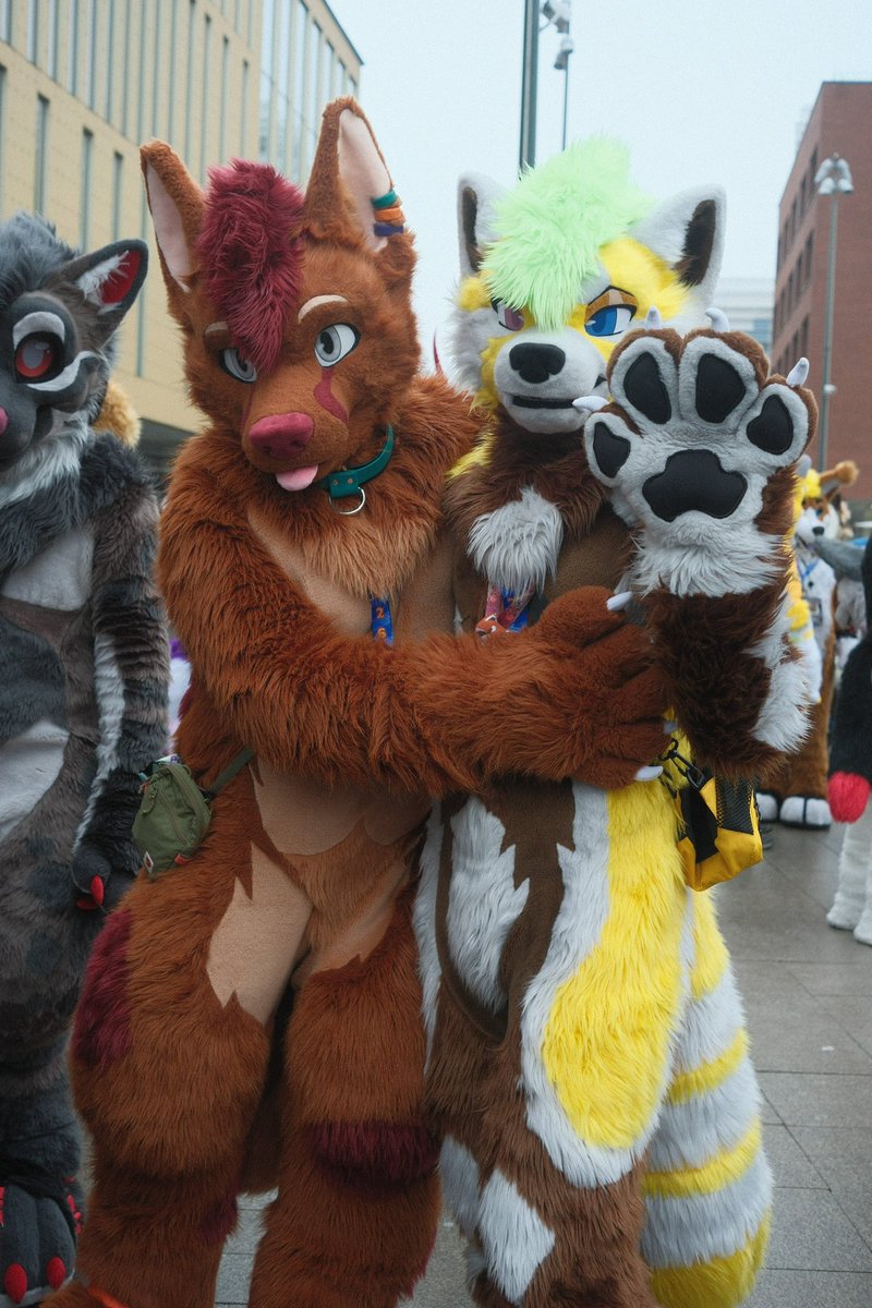 Jakuzzi 🔜 LVFC tweet media