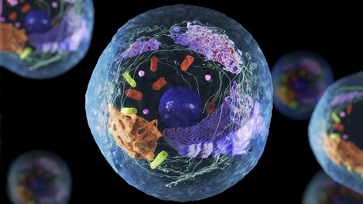 🚨: Japanese biologist won the Nobel prize for discovering how the body eats its own damaged cells when it doesn't receive food