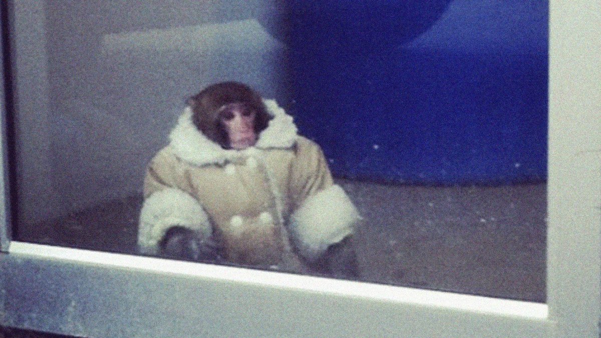 Justin Vandenberg tweet media