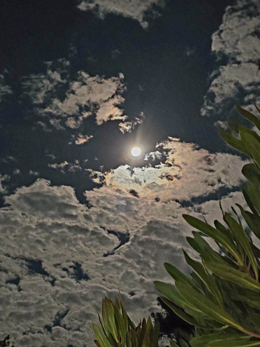 Berghouse&Cottages tweet media