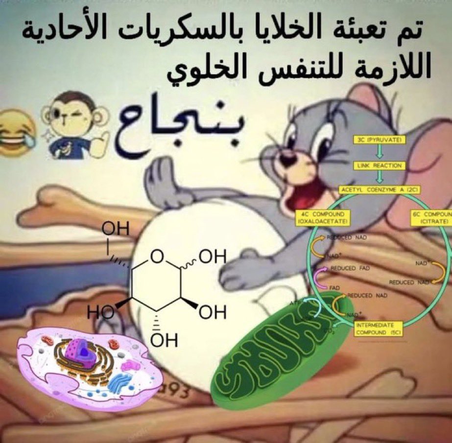 Nawaf Almutairi (@nebo_110) on Twitter photo 