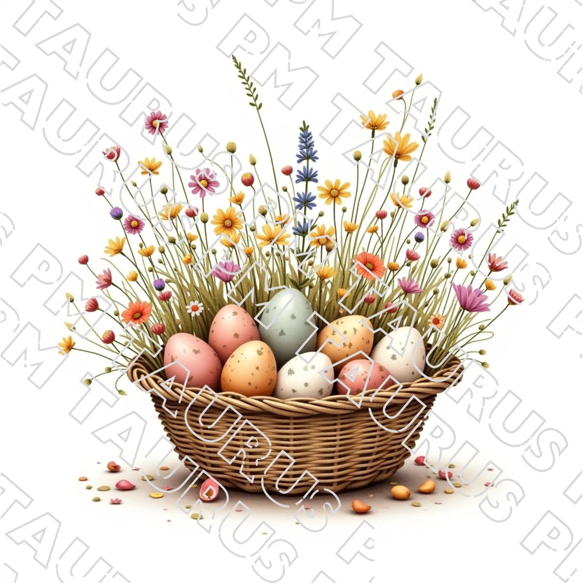 Primislaus Marius Slavus Taurus tweet media