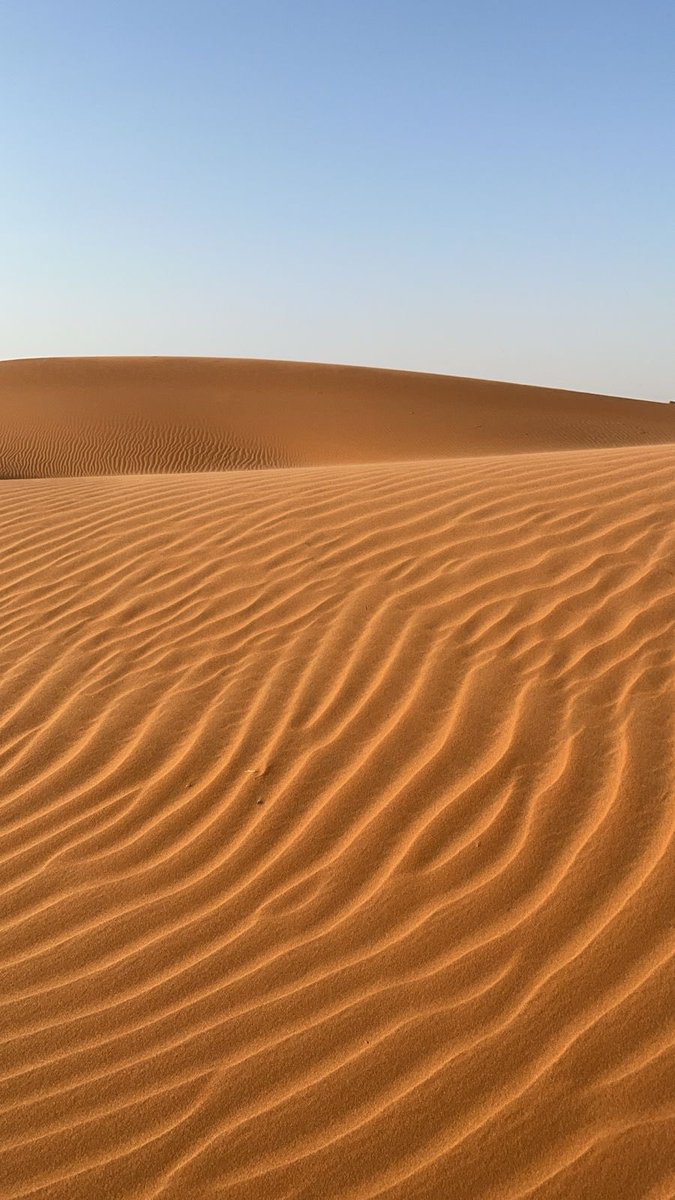 مصممة جرافيك | إيلين tweet media