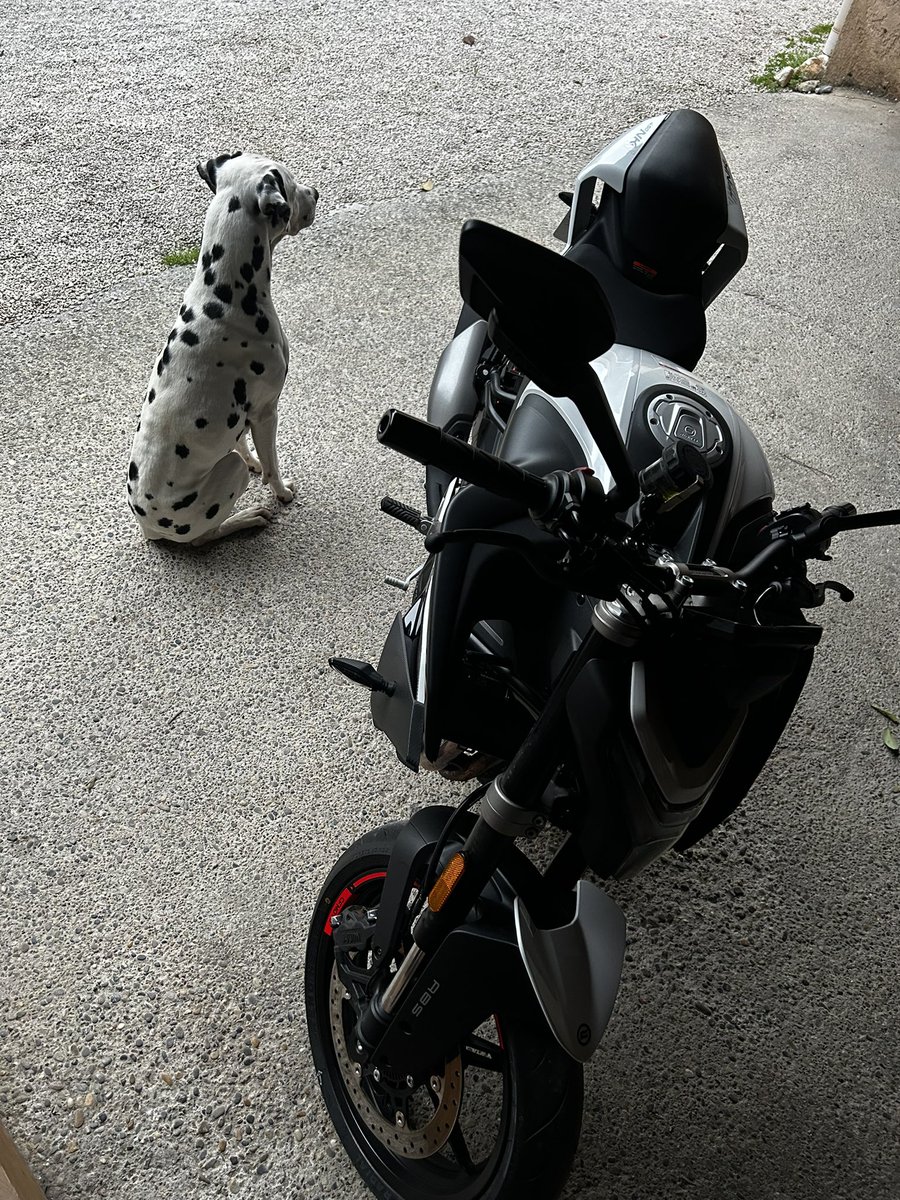 Travelwithademon♈️ tweet media