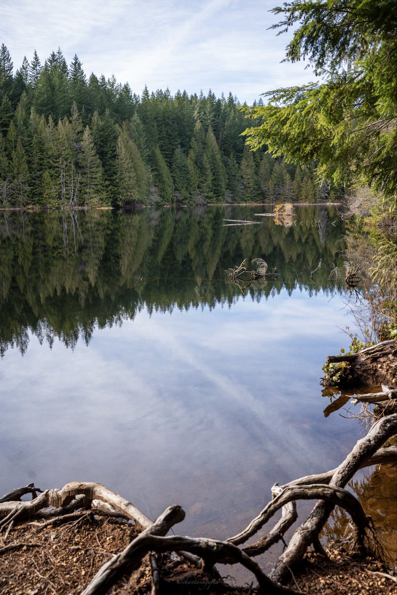 Shantanu Gupta tweet media