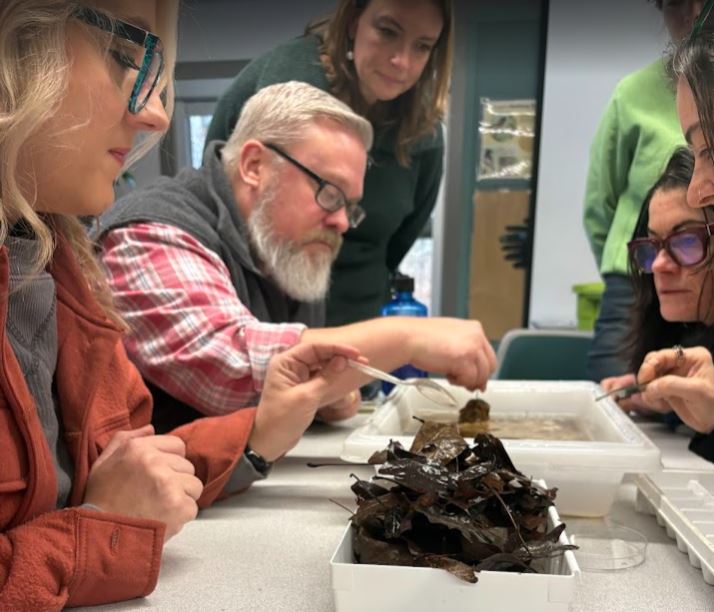 Dr. Rich Mackrell tweet media