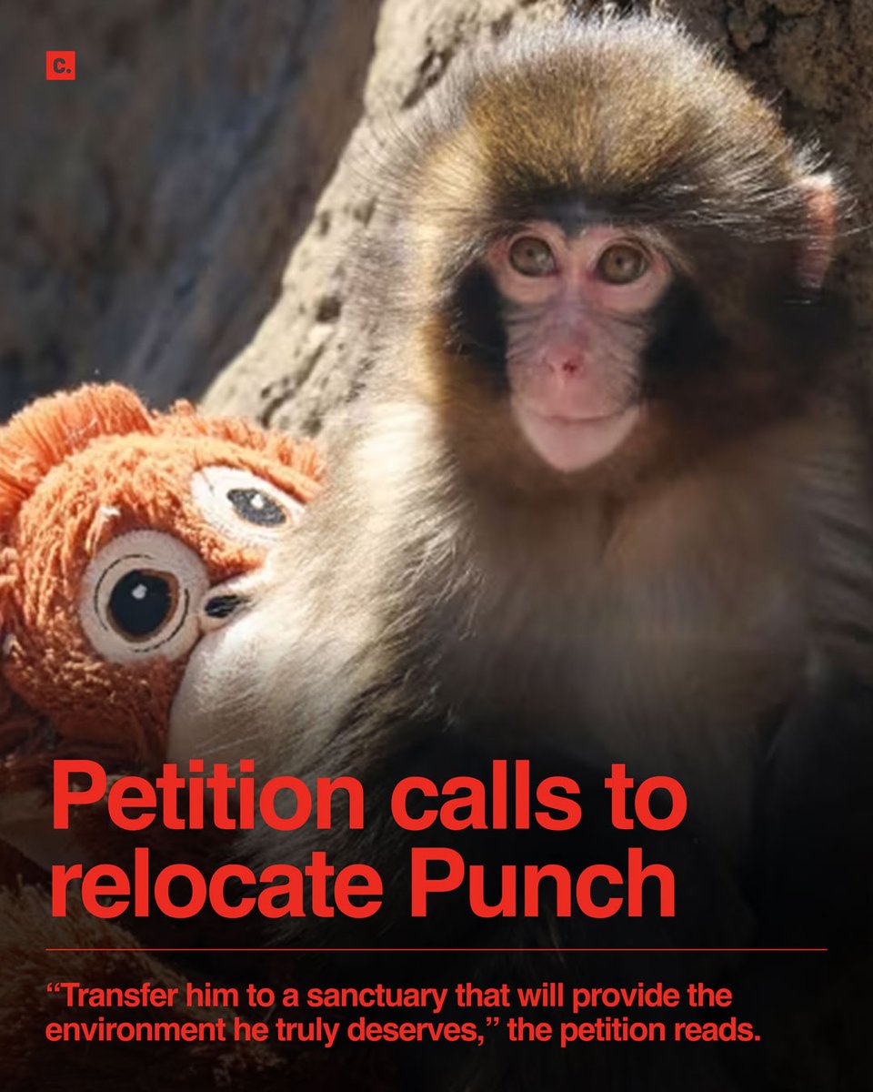 Change.org tweet media