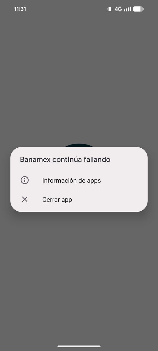 _CaMaY_'s tweet photo. @banamex ayudaaa desde que se instaló el update de marzo de android 16 en mi pixel 8 pro no me abre la app de Banamex, ya reinicié, borré cache, desinstalé y volví a instalar y aún así no  funciona, algún comentario? https://t.co/WrI7kC0qlJ