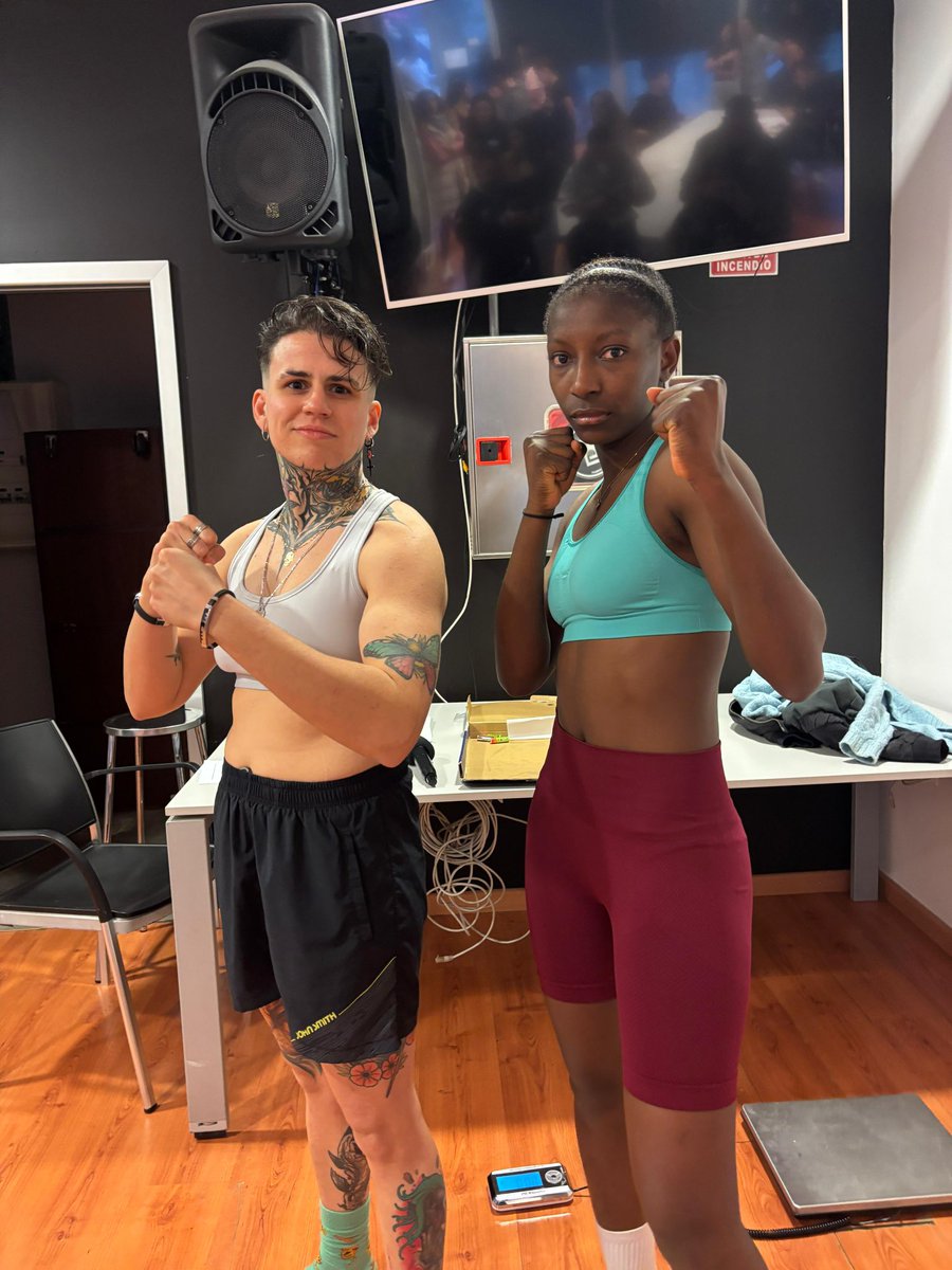 KO BOXING tweet media