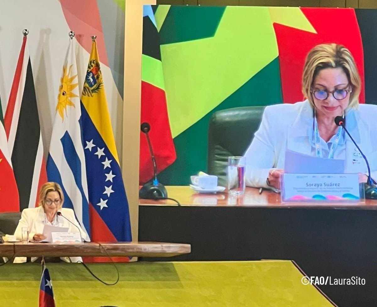 DiputadosRD's tweet photo. Además, asistió al lanzamiento regional del Año Internacional de la Agricultora 2026, destacando el papel de las mujeres agricultoras para la seguridad alimentaria y el desarrollo sostenible en la Región, este evento contó con la participación de Qu Dongyu, director general de la FAO, entre otras personalidades.   

#DiputadosRD #DiplomaciaParlamentaria🇩🇴🤝🇧🇷