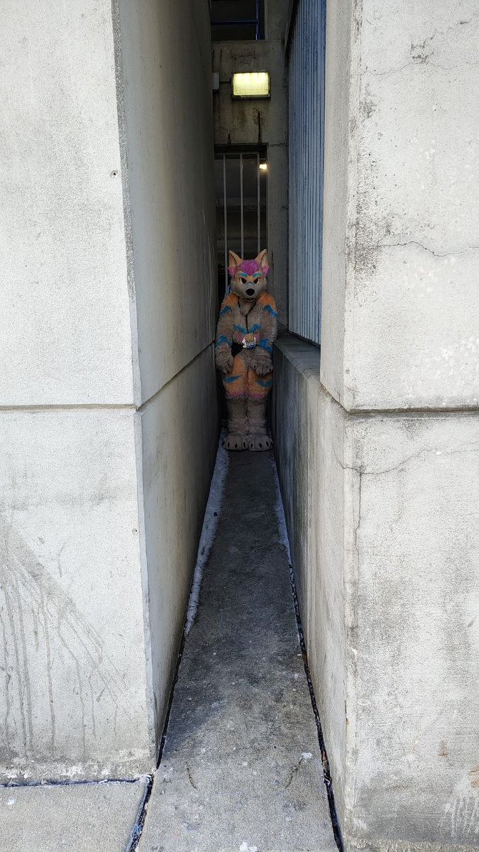 Spen 🐾 🔜 FANG tweet media