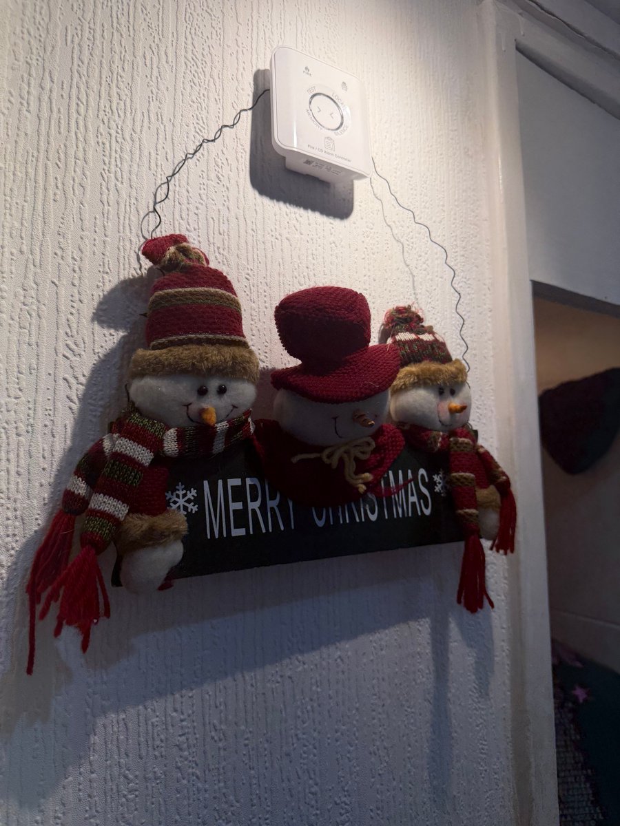 MartinJourno's tweet photo. Has anyone else noticed months into the new year a rogue Christmas decoration is still up or is this an isolated incident. https://t.co/lBLKrlna6P