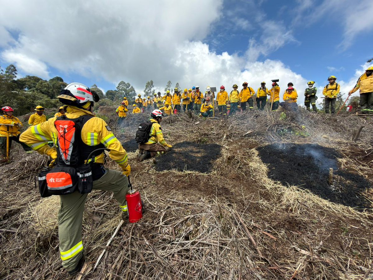 UNGRD's tweet image. En #Riosucio, #Caldas, se realizó el curso de Uso Técnico del Fuego.

✅ Una capacitación orientada a fortalecer la prevención de incendios forestales.

1️⃣ Expertos de la Fundación Pau Costa enseñaron técnicas para el uso controlado y planificado del fuego.

2️⃣ La formación fue