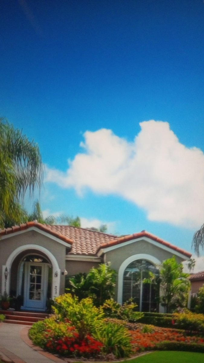 Steve Rapson tweet media